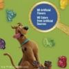 Scooby Doo Fruit Flavored Snacks, Treat Pouches, Gluten Free, Value Pack, 22 Ct, 17.6 oz