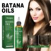 Hoegoa Hair Growth Essential Oil Moisturizes and Smoothes Hair Repairing Roots and Strengthening Hair Care Batana Secret Hair Essential Oil